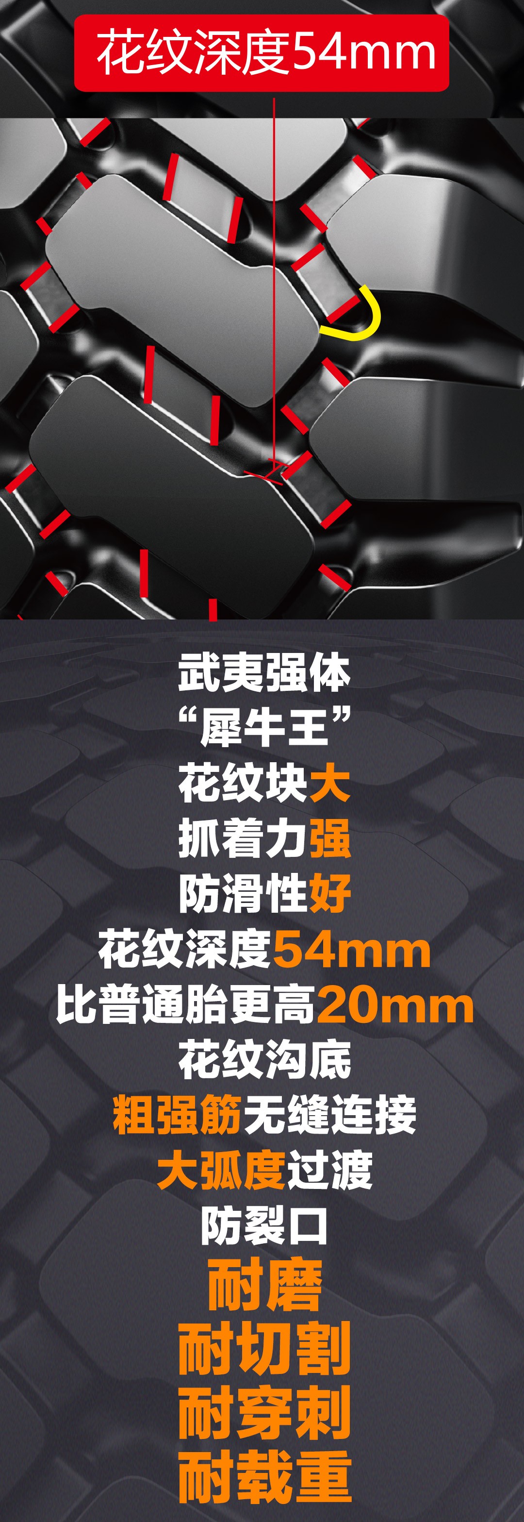 球速体育在线开户app官方