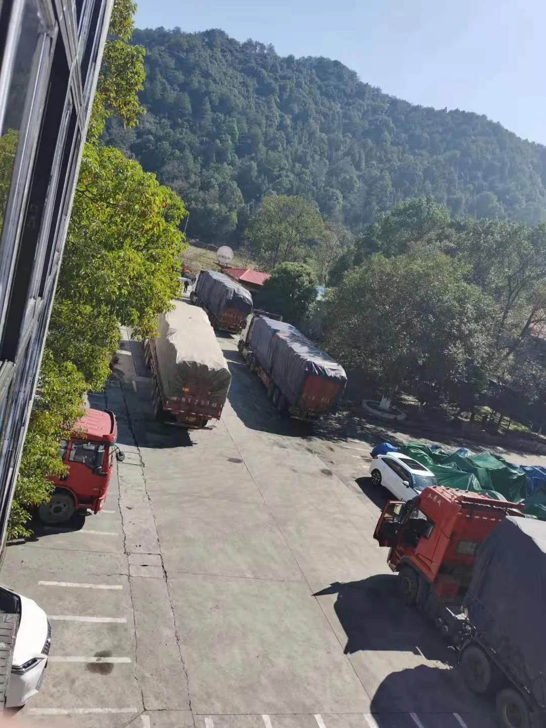 球速体育在线开户app官方