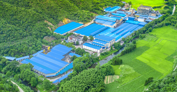 球速体育在线开户app官方