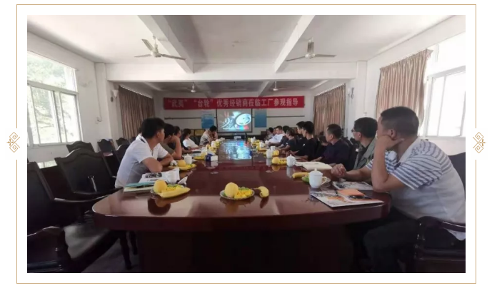 球速体育在线开户app官方